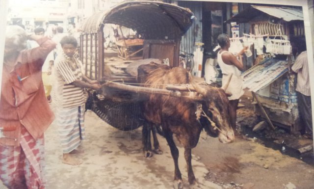 srilanka1997_029.jpg